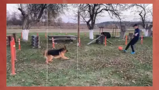 Видео от Олимпийский комитет России