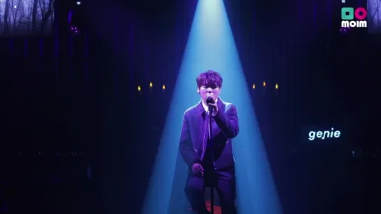 [LIVE] 정승환 JUNG SEUNG HWAN - 숲으로 걷는다 Forest