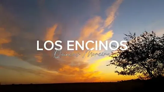 Quincas Moreira - Los Encinos 🎧🎶