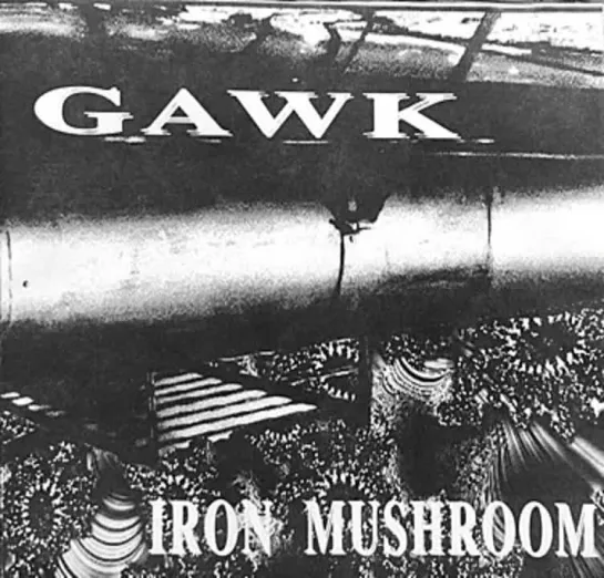 Gawk - "Iron Mushroom" - experimental instrumental rock music 🎧🎵