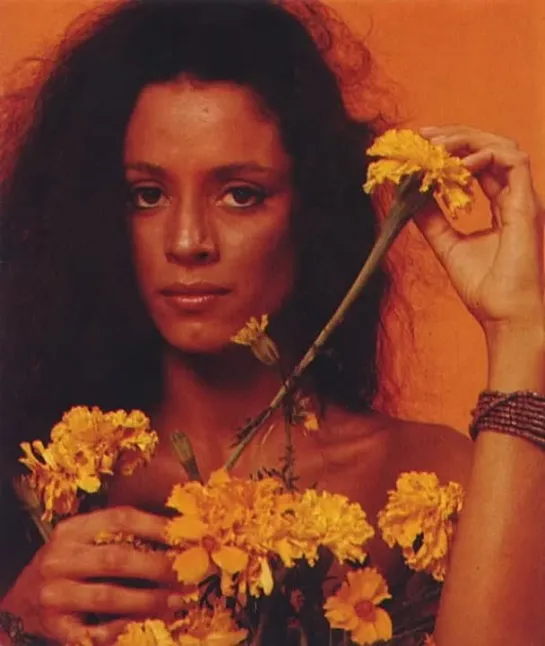 Sonia Braga 🇧🇷🎶