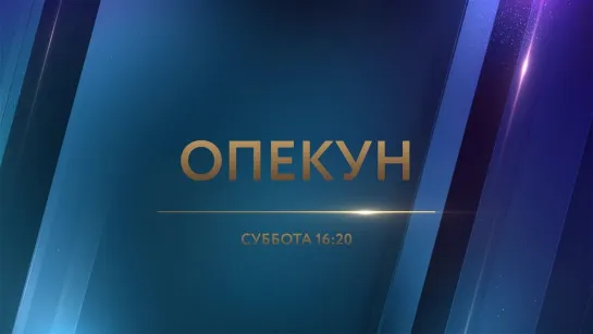 Опекун