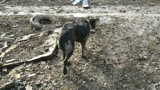 Видео от Алексея Смирнова