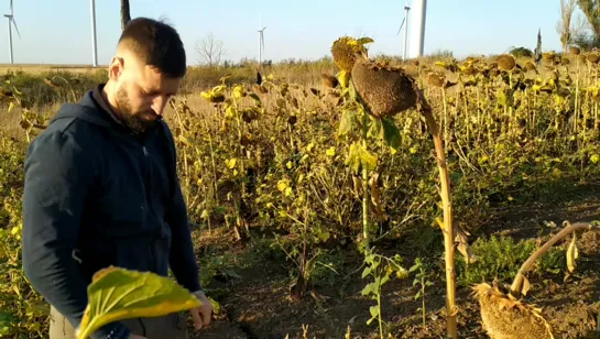 Видео от Алексея Смирнова