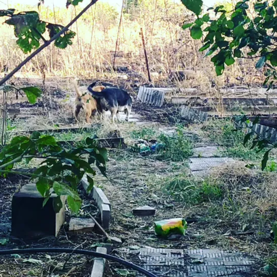 Видео от Алексея Смирнова