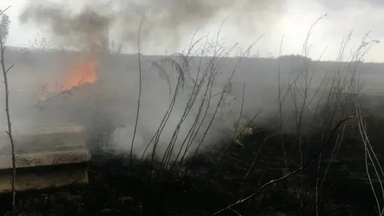 Видео от Алексея Смирнова