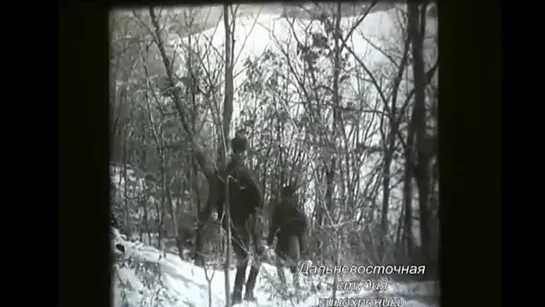 Провокация на Уссури 1969 г