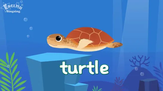 Kids vocabulary - Sea Animals - Learn English for kids - English educational video