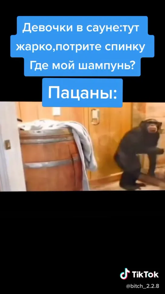 Жиза ?