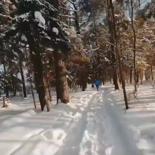 Видео от ТОПОР — Хранилище