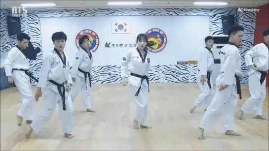 пропагандируем Taekwondo )