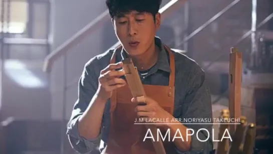 뷰티인사이드 OST _ AMAPOLA