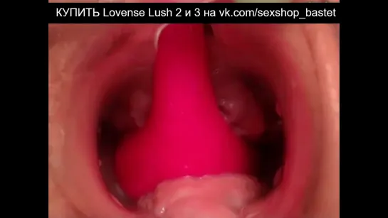 Как работает Lovense Lush 3 внутри