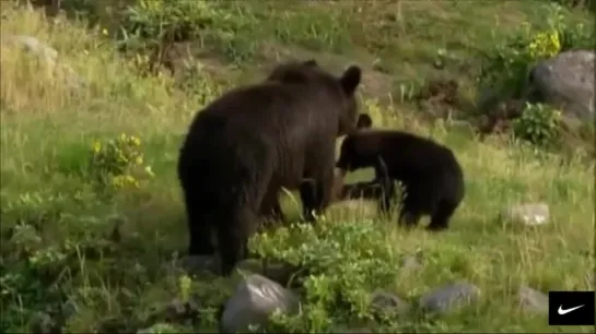 Вальс дождя....