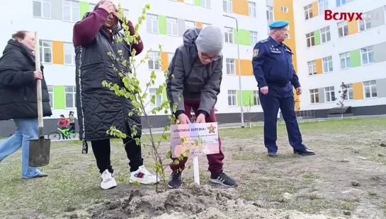 "Папины березки" в Тюмени