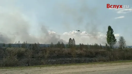 Вертолет Ми-26 работает на тюменском пожаре