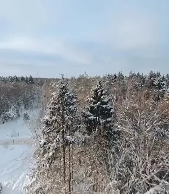 причины моего психического расстройства