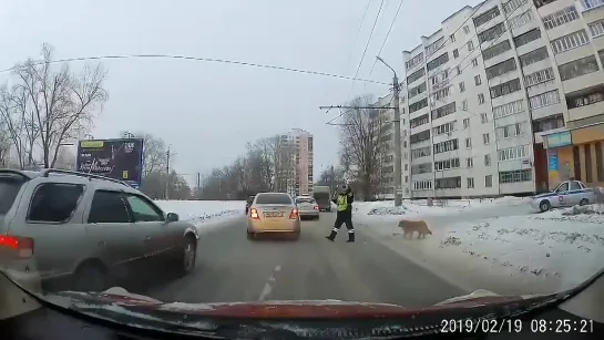 причины моего психического расстройства