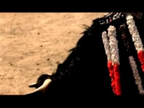 The White Stripes - Conquest (Video)