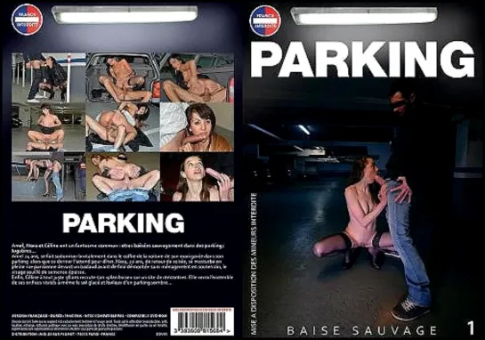 Parking 1er Sous - Sol Baise Sauvage / 2015