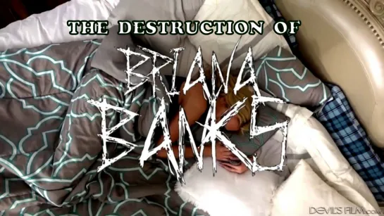 The Destruction of Briana Banks