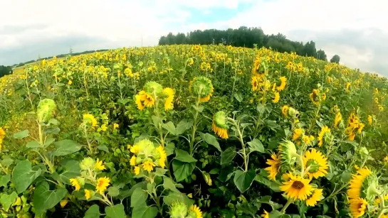 Иркутск - Алтай на машине! 24 часа за рулем, 2300 км. Дорога до Чемала.