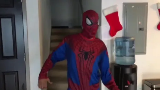 Batman and The Amazing Spider-Man Were Roommates (Nigga Vine)