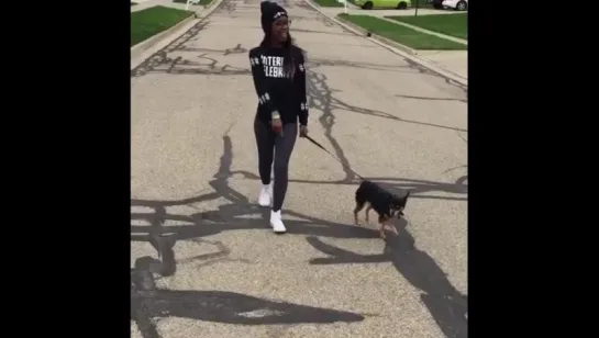 Thoughts while walking your dog (Nigga Vine)