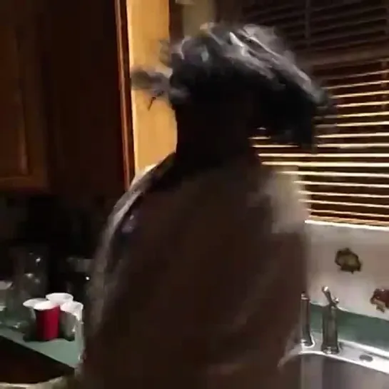 If Black Moms were in scary movies (Nigga Vine)