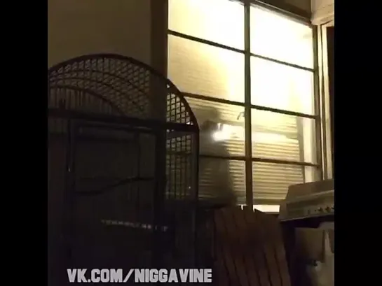 Dumb Criminals Be Like (Nigga Vine)