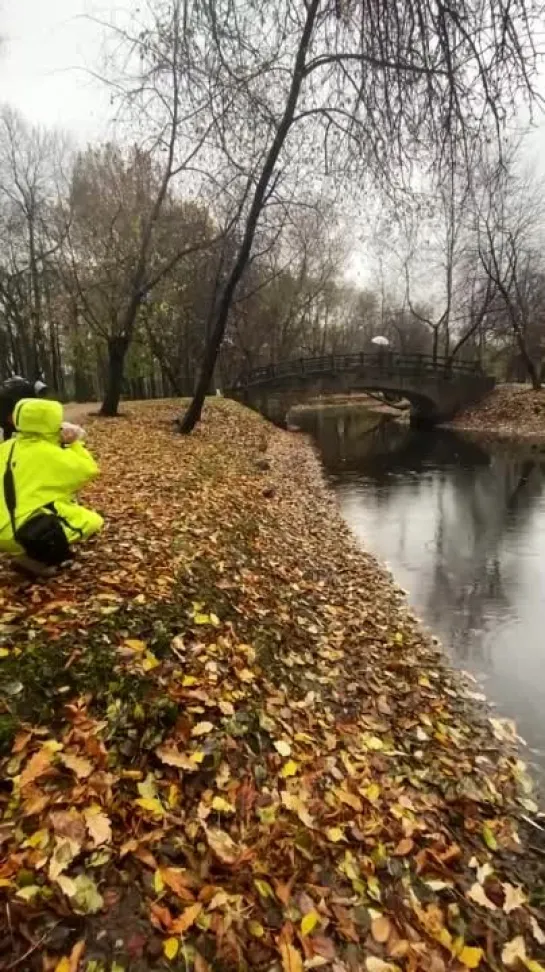 Видео СОВА 20.05.2024