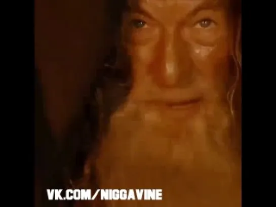 It was Gandolf (Nigga Vine)