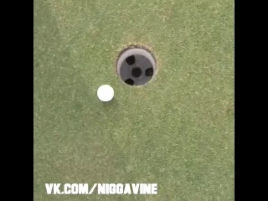 Cheating Golfers Be like (Nigga Vine)