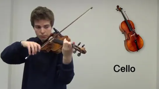 🎻