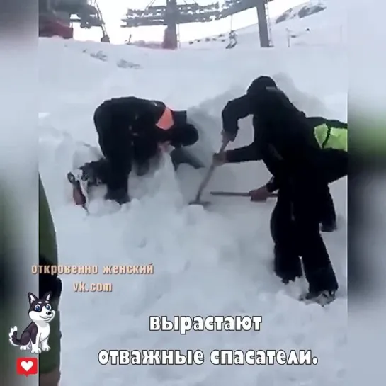 Это обучают собак для поисков людей под обвалами и тд. Спасибо кинологам.