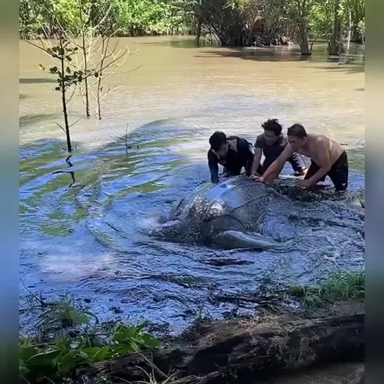 Как приятно видеть добро...