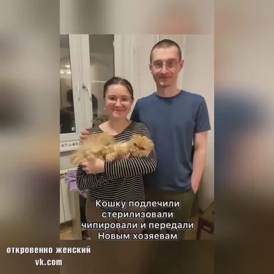 Пусть у котика всё будет хорошо.