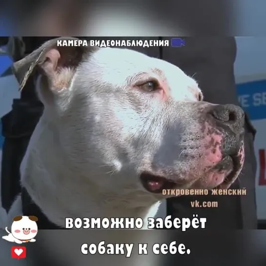 Неравнодушный человек не прошёл мимо и помог.