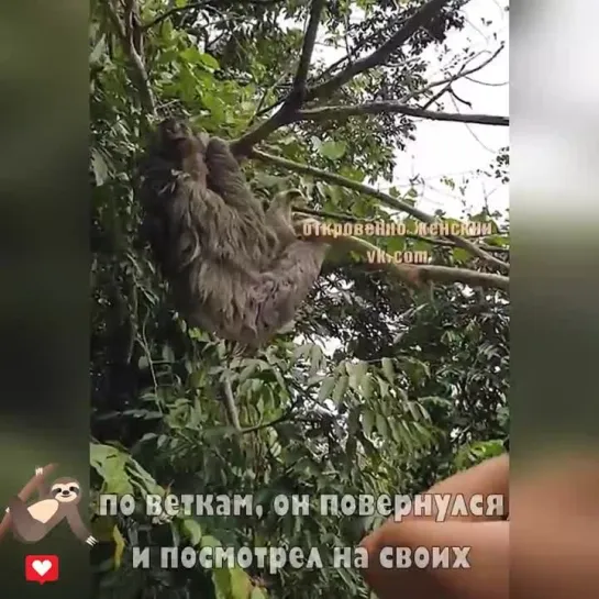 Он будто бы улыбается своим спасителям.