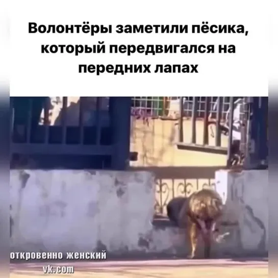 Ещё не всё потеряно, есть люди с большим сердцем!