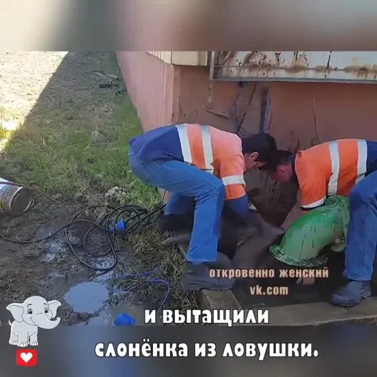 Всех благ помогавшим.. за человечность и доброе отношение к животным.