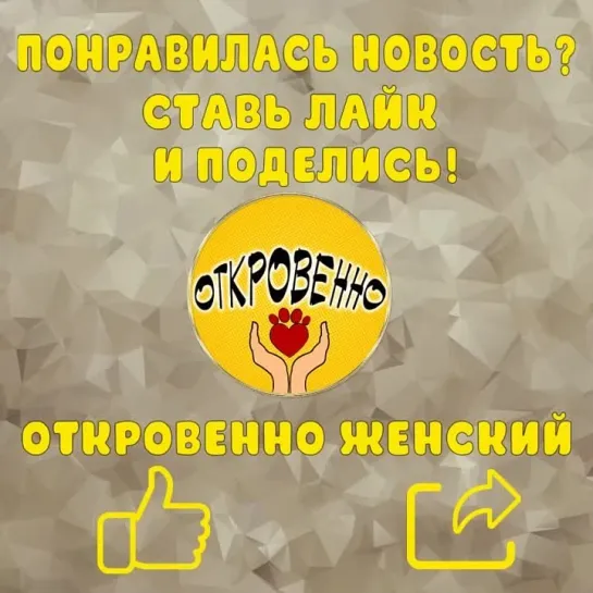 Надеюсь, что у него будет дом, где его будут любить и заботиться о нём. Пусть у него всё будет хорошо.