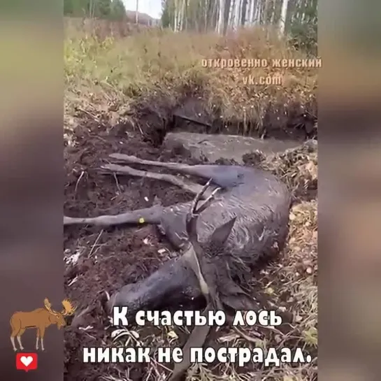 Спасибо доброму человеку! Так радостно читать, что такие люди у нас есть!