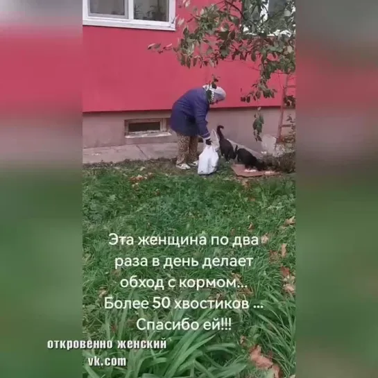 У человека очень большое и доброе сердце и это радует!