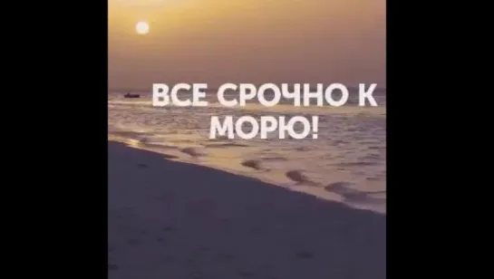 Надо жить у моря...