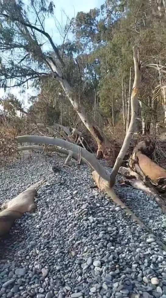 Видео от Ларисы Войновой