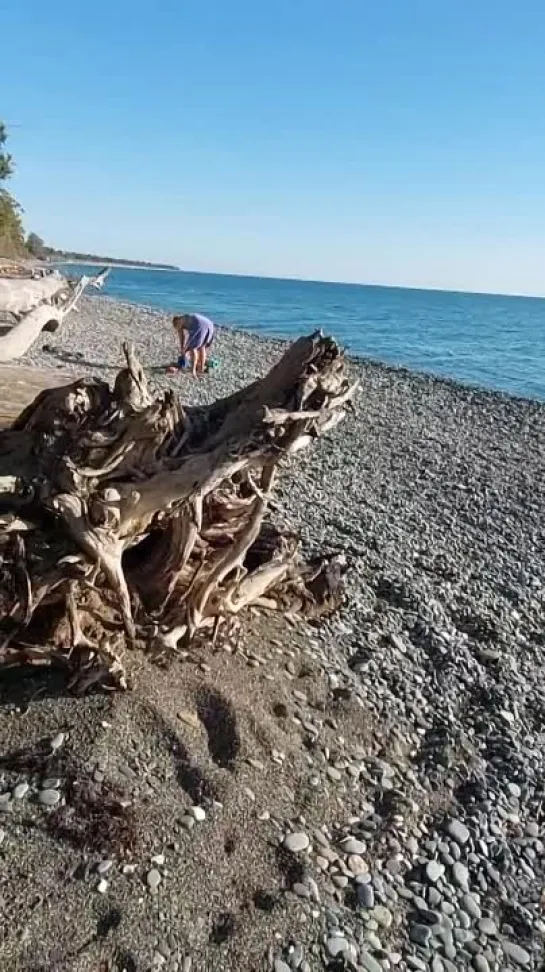 Видео от Ларисы Войновой