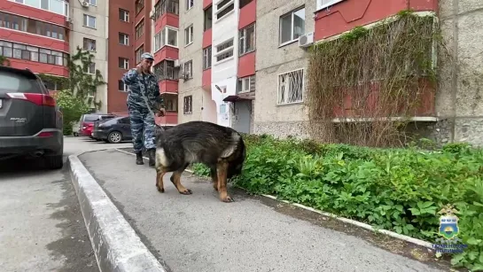 В Тюмени сотрудники УНК задержали подозреваемого в незаконном обороте наркотиков в крупном размере