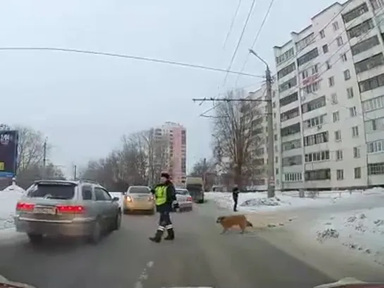 Видео от АВТО КЛУБ