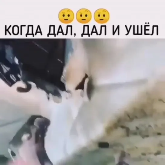 Видео от АВТО КЛУБ